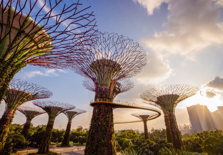 Gardens by the Bay