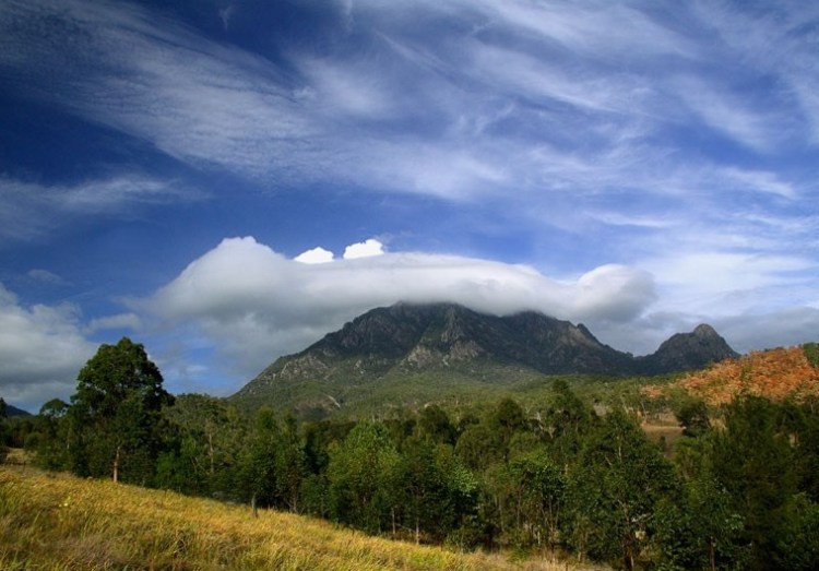 bushfire tourism