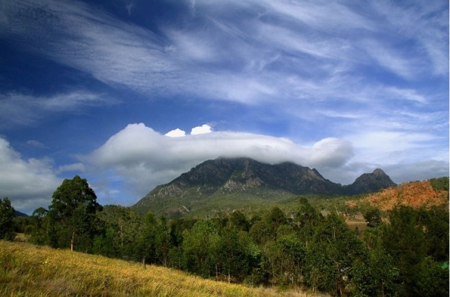 bushfire tourism