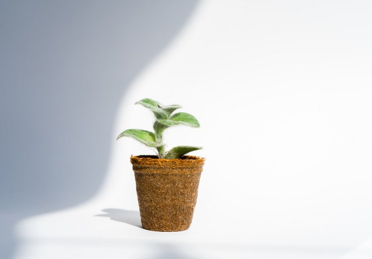 event sustainability research