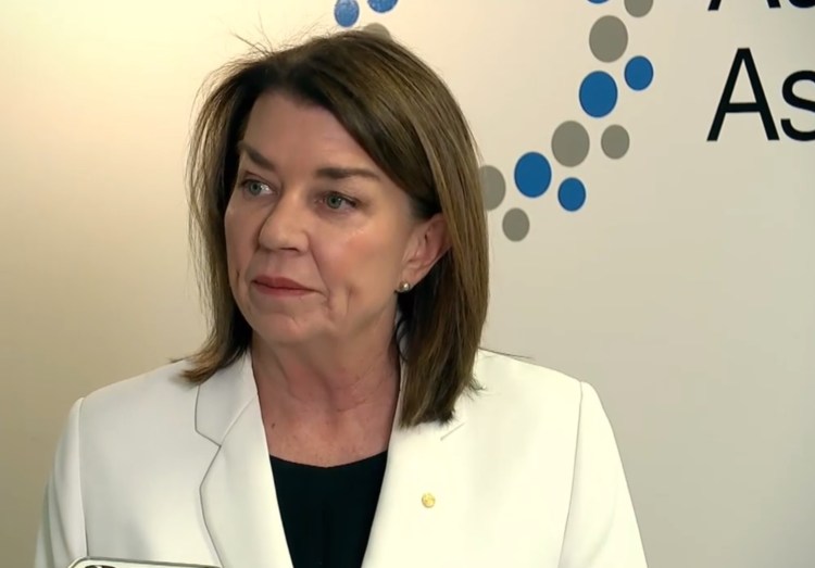 small businesses Australian Banking Association CEO Anna Bligh