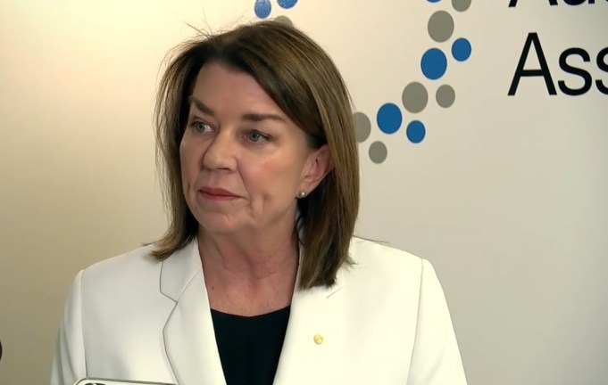 small businesses Australian Banking Association CEO Anna Bligh