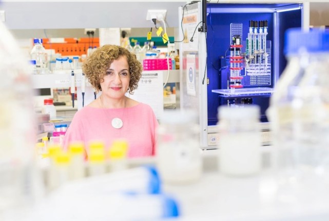 Professor Hala Zreiqat is among Australia's leading experts