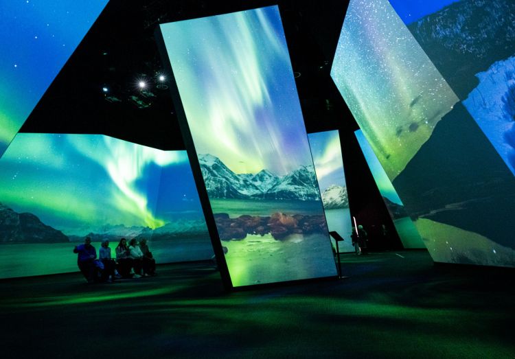 Screens showing the BBC Earth Experience