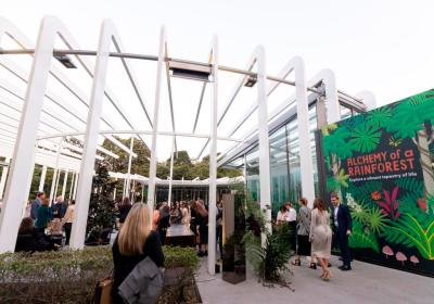 Event in the spotlight: The Calyx’s Alchemy of a Rainforest